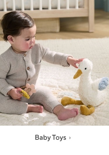 Baby Toys